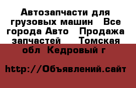 Автозапчасти для грузовых машин - Все города Авто » Продажа запчастей   . Томская обл.,Кедровый г.